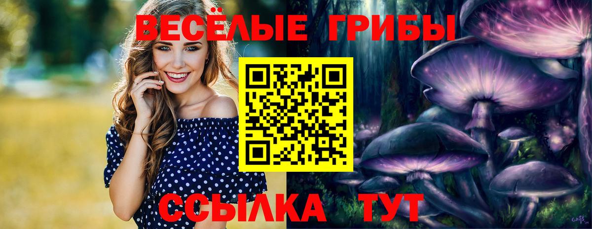 Сланцы  Псилоцибиновые грибы GOLDEN TEACHER  Вход с VPN  Галлюциногенные грибы мицелий 